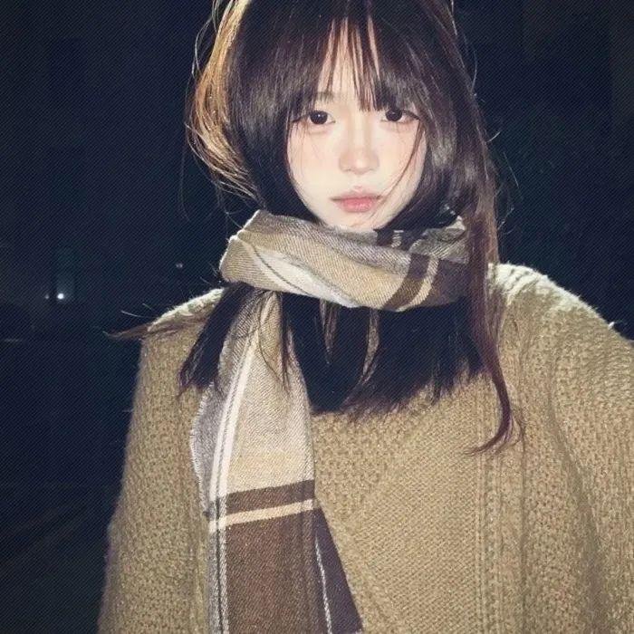 女贼金丝猫