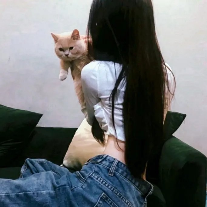 拆局专家粤语